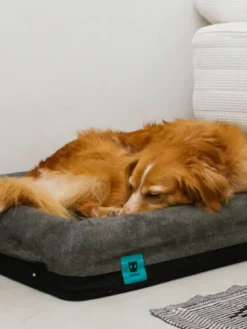 Panier pour chien - Zee.Bed Skull (2 tailles dispo.) - Zee.Dog