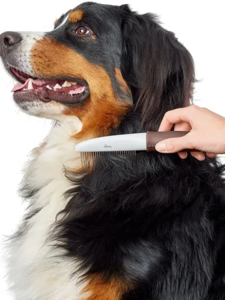 Peigne démêlant avec dents rotatives pour chien et chat - Hunter