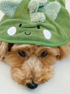 Peignoir de séchage pour chien - Dinopup 🦖 - Cocopup London