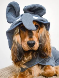 Peignoir de séchage pour chien - Éléphant 🐘 - Cocopup London