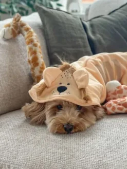Peignoir de séchage pour chien - Lion 🦁 - Cocopup London