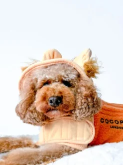 Peignoir de séchage pour chien - Lion 🦁 - Cocopup London