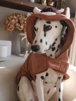 Peignoir de séchage pour chien - Vache des Highland 🐮 - Cocopup London