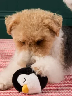 Peluche de Noël pour chien - Pingouin 🐧 - The Foggy Dog
