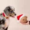 Peluche de Noël pour chien - Santa Bear 🐻🎅 - The Foggy Dog