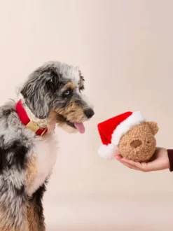 Peluche de Noël pour chien - Santa Bear 🐻🎅 - The Foggy Dog