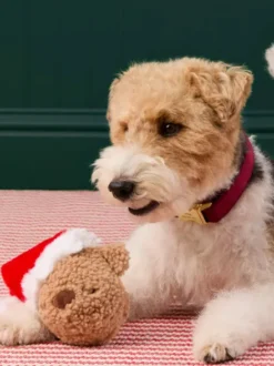Peluche de Noël pour chien - Santa Bear 🐻🎅 - The Foggy Dog