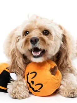 Peluche d'halloween pour chien - Citrouille étirable 🎃 - FuzzYard