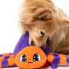 Peluche d'halloween pour chien - Tarantine l'araignée 🕷️ - FuzzYard