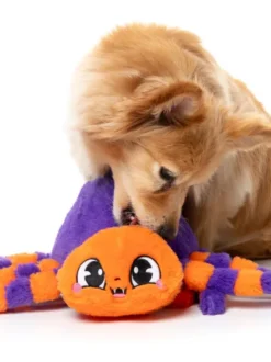 Peluche d'halloween pour chien - Tarantine l'araignée 🕷️ - FuzzYard
