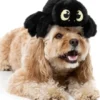 Peluche d'halloween pour chien - Tarentule rouge 🕷️ - FuzzYard