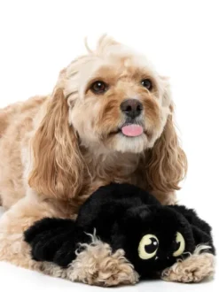 Peluche d'halloween pour chien - Tarentule rouge 🕷️ - FuzzYard