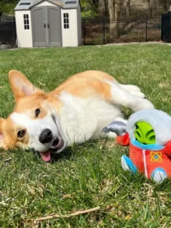 Peluche 2-en-1 pour chien - Alien Buddies Astro Explorer - Pet PLAY