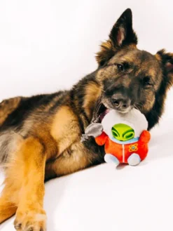 Peluche 2-en-1 pour chien - Alien Buddies Astro Explorer - Pet PLAY
