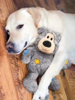 Peluche KONG Ours pour chien - Wild Knots Bear XL - Couleur aléatoire