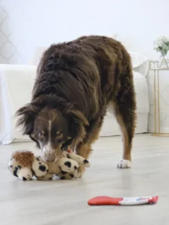 Peluche KONG pour chien - KONG Comfort Pups