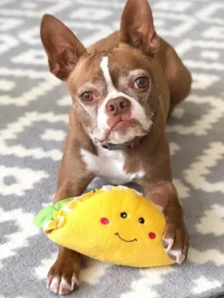 Peluche originale pour chien - 🌮 Tacos Nomnomz - Zippy Paws