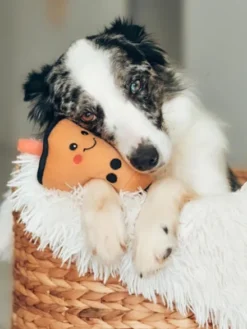 Peluche originale pour chien - Bubble Tea - Zippy Paws