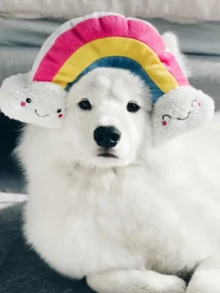 Peluche originale pour chien - Arc en Ciel 🌈 - Zippy Paws