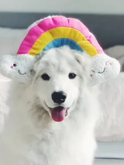 Peluche originale pour chien - Arc en Ciel 🌈 - Zippy Paws