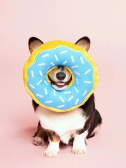 Peluche originale pour chien - 🍩 Donutz Myrtille - Zippy Paws