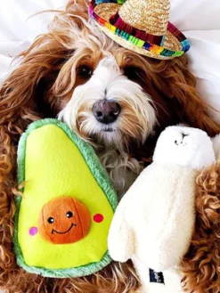 Peluche originale pour chien - 🥑 Avocat Nomnomz - Zippy Paws