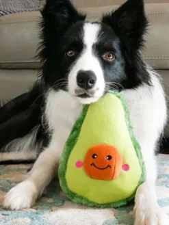 Peluche originale pour chien - 🥑 Avocat Nomnomz - Zippy Paws