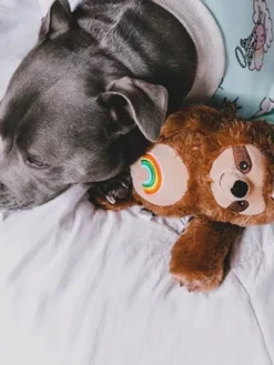 Peluche originale pour chien - Slothicorn tatoué 🦥🌈🦄 - Fringe PetShop
