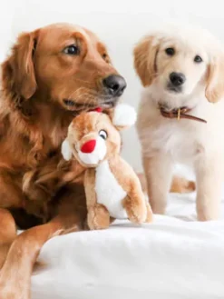 Peluche originale pour chien - Renne Rudolph 🦌 - Zippy Paws