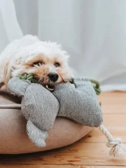 Peluche pour chien avec corde - Koala 🐨 - Hunter