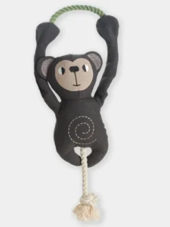 Peluche pour chien avec corde - Singe 🐒 - Hunter