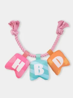Peluche pour chien - Banderole d'anniversaire 🎉 - HugSmart