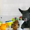 Peluche pour chien - Barktender - Tiki Mug 🍹🗿 - Pet PLAY