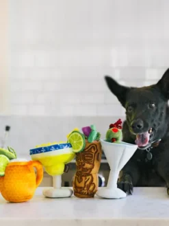 Peluche pour chien - Barktender - Pup-arita 🍹 - Pet PLAY