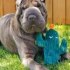 Peluche pour chien Blooming Buddies - Cactus 🌵 - Pet PLAY