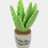 Peluche pour chien Blooming Buddies - Pot Aloe Vera 🌱 - Pet PLAY