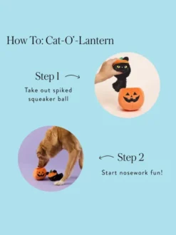 Peluche pour chien - Cat-O'Lantern 🎃🐈‍⬛ - The Foggy Dog