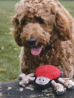 Peluche pour chien écologique - Araignée - Beco Pets