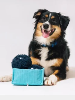 Peluche pour chien - Farm Fresh - Myrtille 🫐 - Pet PLAY