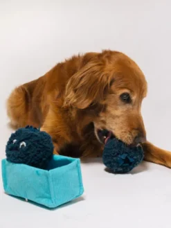 Peluche pour chien - Farm Fresh - Myrtille 🫐 - Pet PLAY