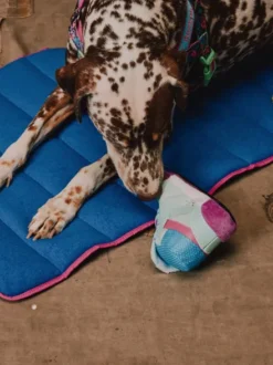 Peluche pour chien - Freestyle Plus 2en1 👟 - Reebok x Zee.dog