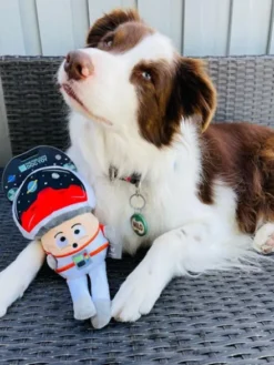 Peluche pour chien Fun Guys - Cosmo Mushroom 🧑‍🚀 - Fuzzyard