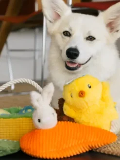 Peluche pour chien - Hippity Hoppity - Funny Bunnies 🥕