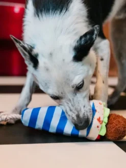 Peluche pour chien - international classic - Falafel 🥙 - Pet PLAY