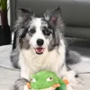 Peluche pour chien - Jungle Tails Grenouille 🐸 - HugSmart