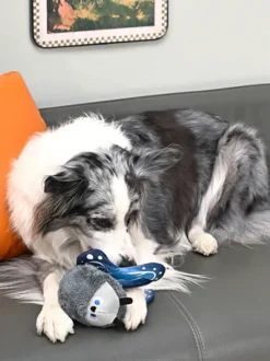 Peluche pour chien - Jungle Tails Papillon 🦋 - HugSmart