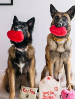 Peluche pour chien - Love Bug - Bouche 👄 - Pet PLAY