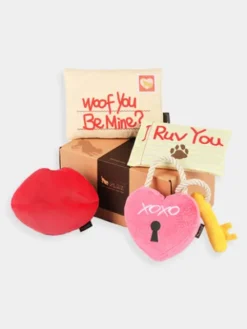 Peluche pour chien - Love Bug - Cadenas 🔒💕 - Pet PLAY