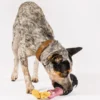 Peluche pour chien - LuxeHotel - DogWine 🍾 - Pet PLAY