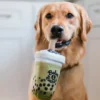 Peluche pour chien - Matcha Boba 🧋 - Pet PLAY